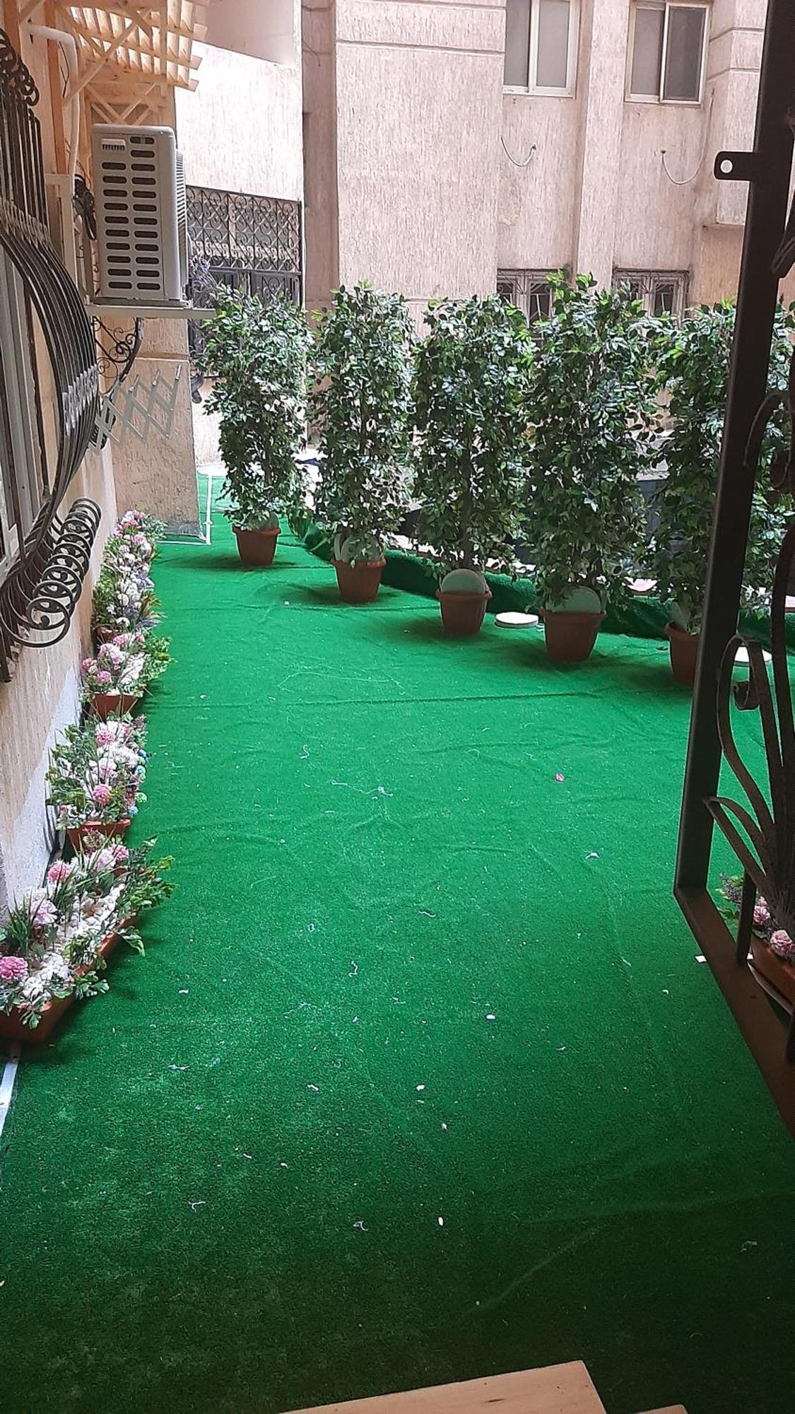 Miramar Boutique Hotel Alexandria Room photo